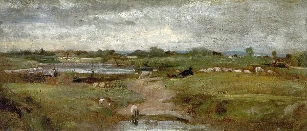 River and Sheep