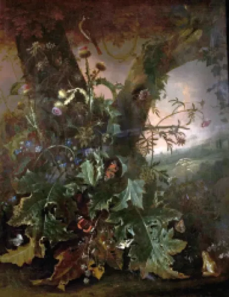 Buy Still Life with Frog and Goldfinch (Thistles and Butterflies)