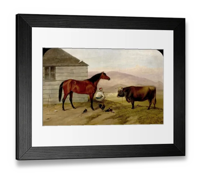 Framed Print : The Turkish Pony Bobby, the Cock from Sebastopol, the Cow from the Valley of Baidar and the Pigeon Framed Print : The Turkish Pony Bobby, the Cock from Sebastopol, the Cow from the Valley of Baidar and the Pigeon