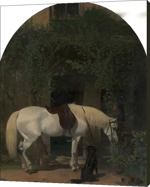 White Horse and Retriever