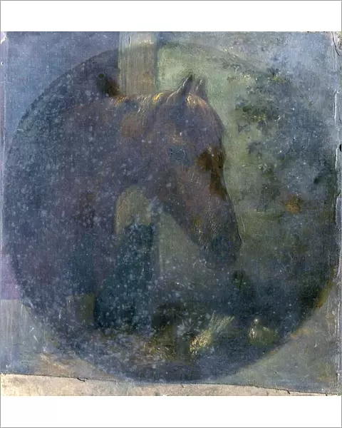 Head of a Horse
