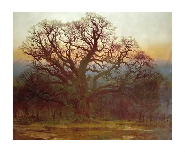 Major Oak, Sherwood Forest, Nottinghamshire