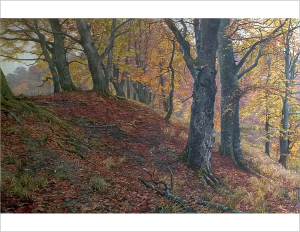 At the Fall of Leaf, Arundel Park, Sussex (Woodland Scene in Autumn)