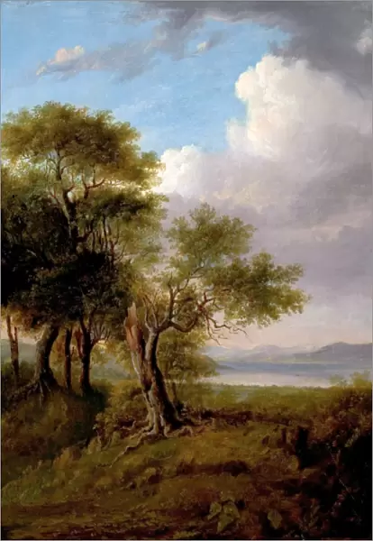 Landscape, Trees in the Foreground, Lake and Hills in the Distance