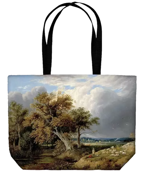 Landscape with Trees and Sheep
