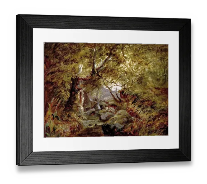 Framed Print : A Woodland Stream Framed Print : A Woodland Stream
