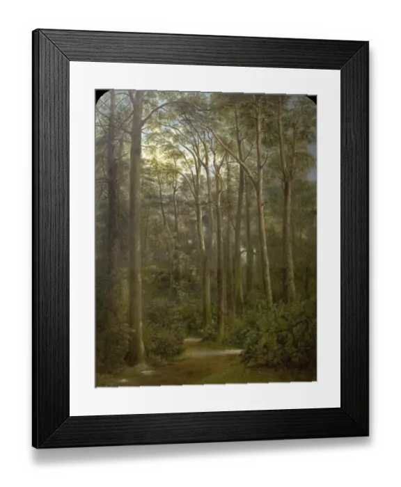 Framed Print : The Wilderness