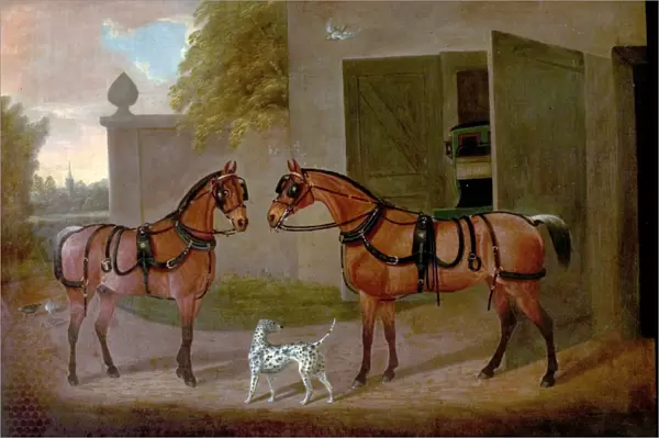 Carriages, Horses and Dogs