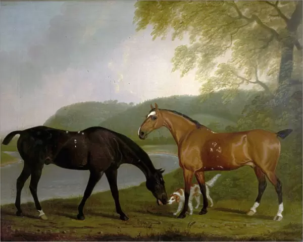 Horses and Dog in a Landscape