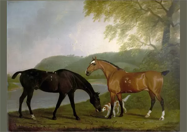 Horses and Dog in a Landscape