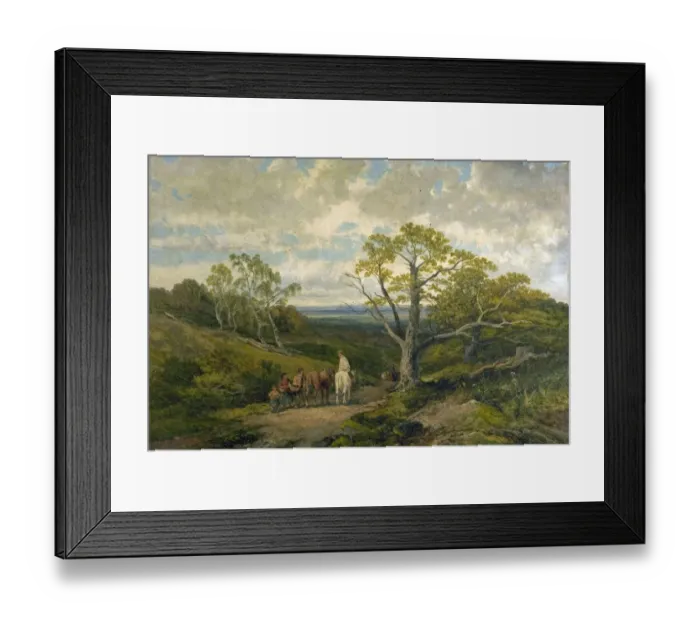 Framed Print : View in Sherwood Forest (Sherwood Forest, Nottinghamshire) Framed Print : View in Sherwood Forest (Sherwood Forest, Nottinghamshire)