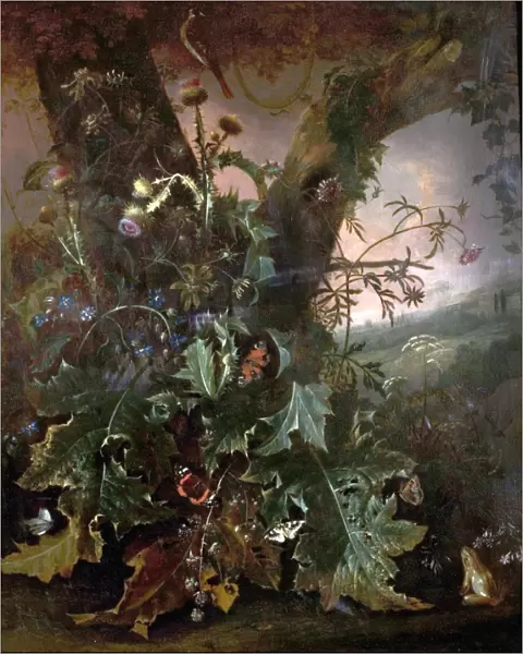 Still Life with Frog and Goldfinch (Thistles and Butterflies)