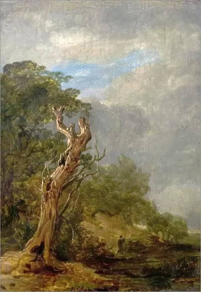 The Withered Tree