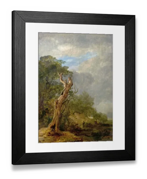 Framed Print : The Withered Tree Framed Print : The Withered Tree