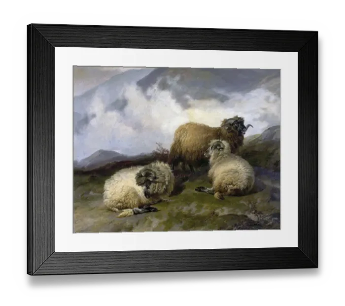 Framed Print : Landscapes Framed Print : Landscapes