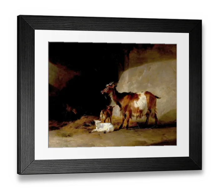 Framed Print : Mountain Sheep (Morning Mist Clearing Off) Framed Print : Mountain Sheep (Morning Mist Clearing Off)