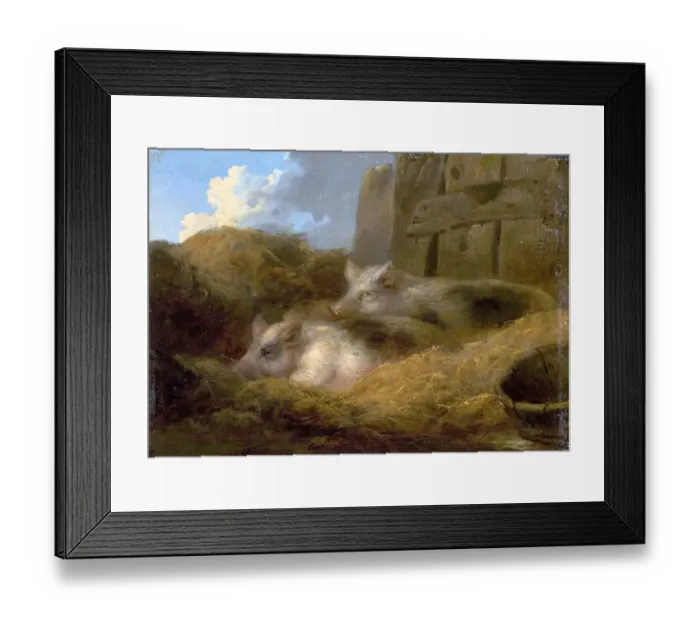 Framed Print : Two Pigs in Straw (Barn with Pigs) Framed Print : Two Pigs in Straw (Barn with Pigs)