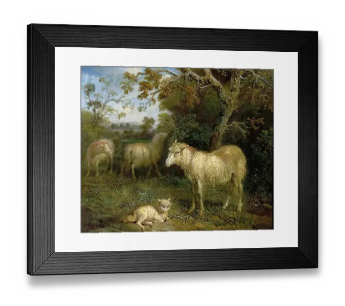Framed Print : Landscape with Sheep Framed Print : Landscape with Sheep