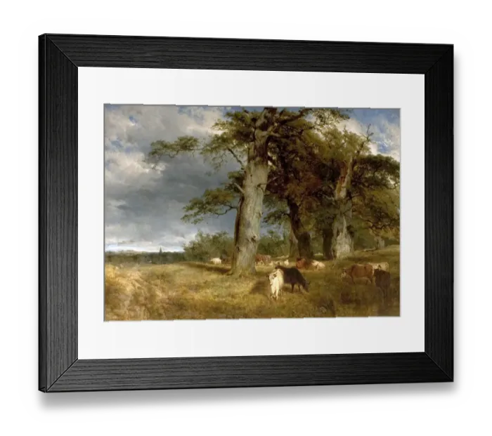 Framed Print : Landscape in the Dukeries, Nottinghamshire Framed Print : Landscape in the Dukeries, Nottinghamshire
