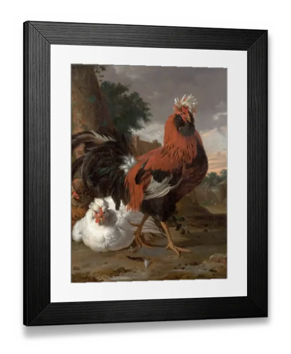 Framed Print : Fowl. Artist: Hondecoeter, Melchior de - Title Framed Print : Fowl. Artist: Hondecoeter, Melchior de - Title