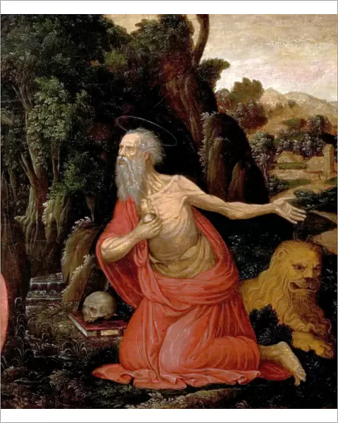 St Jerome. Artist: German School - Title: St Jerome - Date