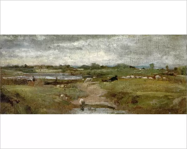 River and Sheep