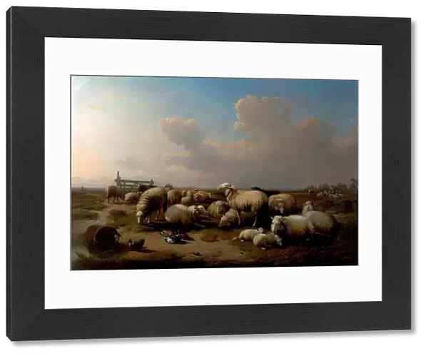 The Sheep. Artist: Verboeckhoven, Eugene Joseph - Title