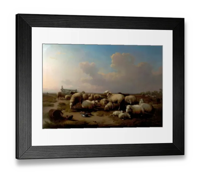 Framed Print : The Sheep. Artist: Verboeckhoven, Eugene Joseph - Title Framed Print : The Sheep. Artist: Verboeckhoven, Eugene Joseph - Title
