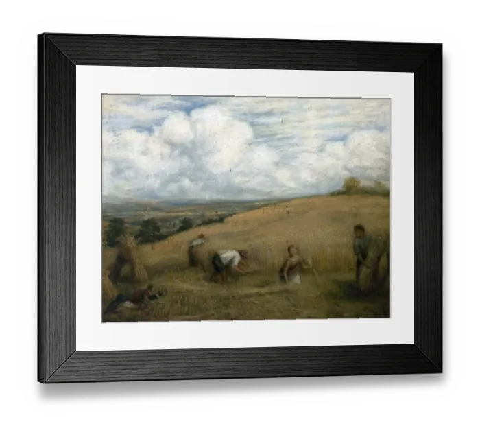 Framed Print : Harvesting Framed Print : Harvesting