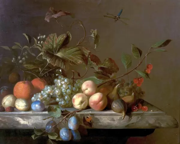 Fruit Piece with Dragonfly