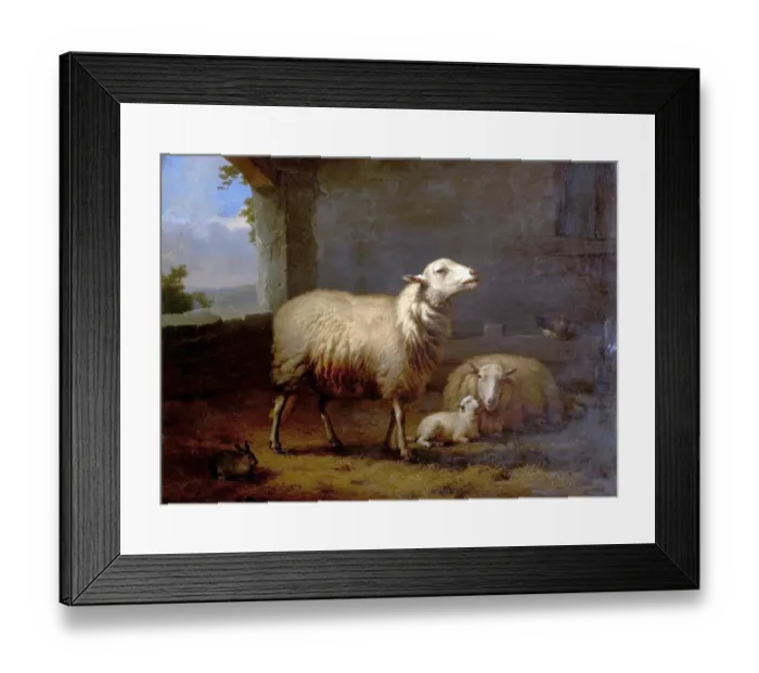 Framed Print : Sheep. Artist: Verboeckhoven, Eugene Joseph - Title Framed Print : Sheep. Artist: Verboeckhoven, Eugene Joseph - Title
