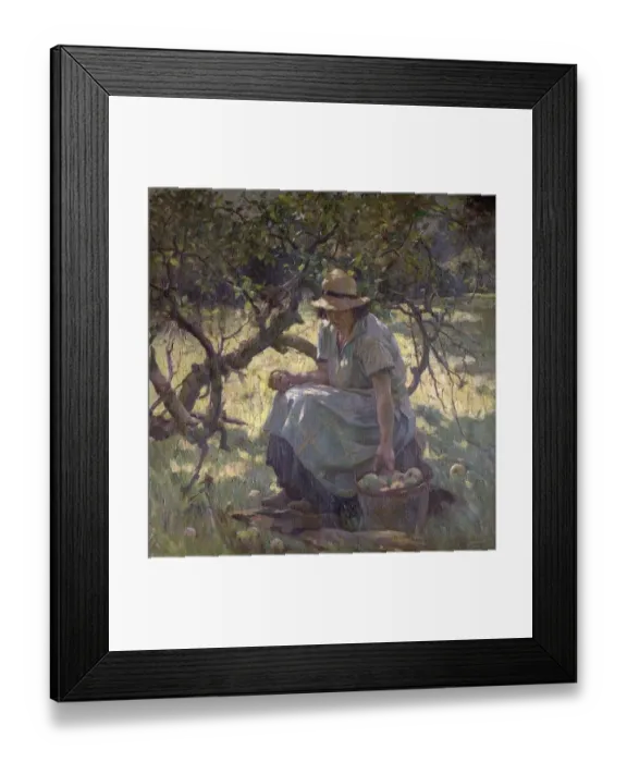 Framed Print : Apple Fallings- Arthur Spooner Framed Print : Apple Fallings- Arthur Spooner
