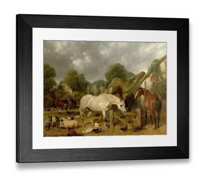 Framed Print : Horses in a Paddock