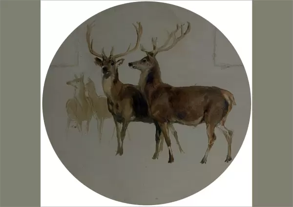 Deer in a Landscape (Studies of Deer) - Edwin Henry Landseer