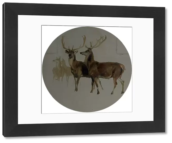 Deer in a Landscape (Studies of Deer) - Edwin Henry Landseer