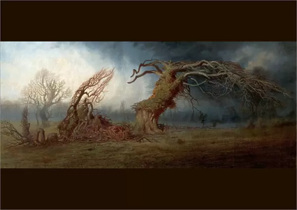The Blasted Tree - Andrew MacCallum