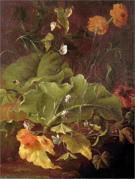 Dock Leaves and Other Flowers - James Sillett