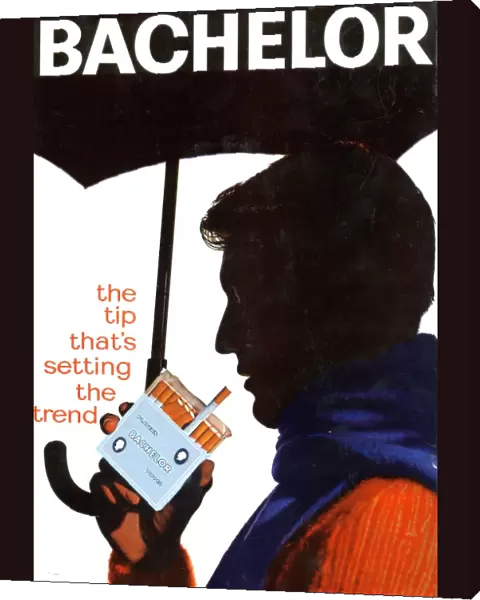 Bachelor the tip thats setting the trend, 1961