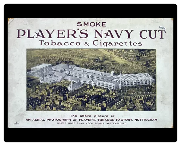 Navy Cut Tobacco and Cigarettes, 1923=24