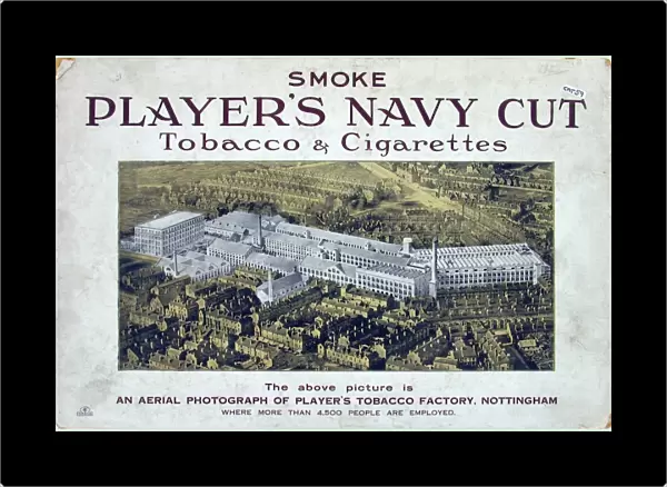 Navy Cut Tobacco and Cigarettes, 1923=24