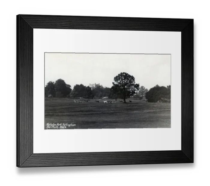 Framed Print : Wollaton Hall Park with deer Framed Print : Wollaton Hall Park with deer