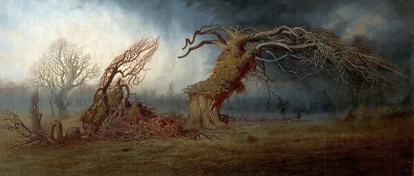 The Blasted Tree - Andrew MacCallum