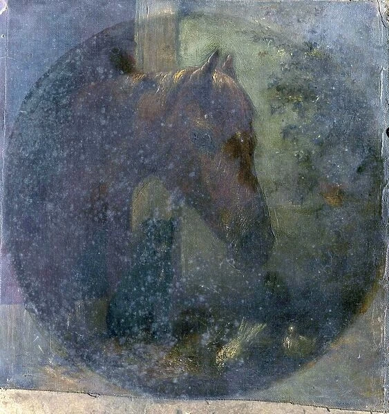 Head of a Horse. Artist - Title: Head of a Horse - Date