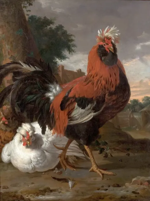 Framed Print : Fowl. Artist: Hondecoeter, Melchior de - Title Framed Print : Fowl. Artist: Hondecoeter, Melchior de - Title
