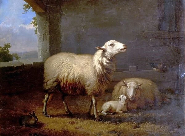 Sheep. Artist: Verboeckhoven, Eugene Joseph - Title