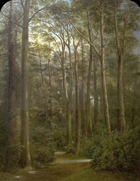 The Wilderness. Artist: Wallis, George - Title
