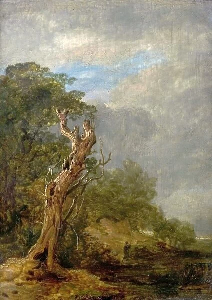 The Withered Tree. Artist: Collins, William - Title
