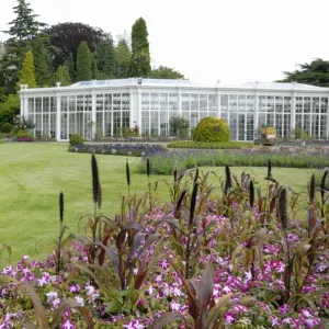 The Camellia House, Wollaton Hall