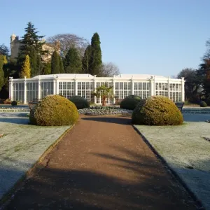 The Camellia House, Wollaton Hall The Camellia House, Wollaton Hall