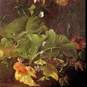 Dock Leaves and Other Flowers - James Sillett